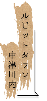 ルビットタウン中津川内